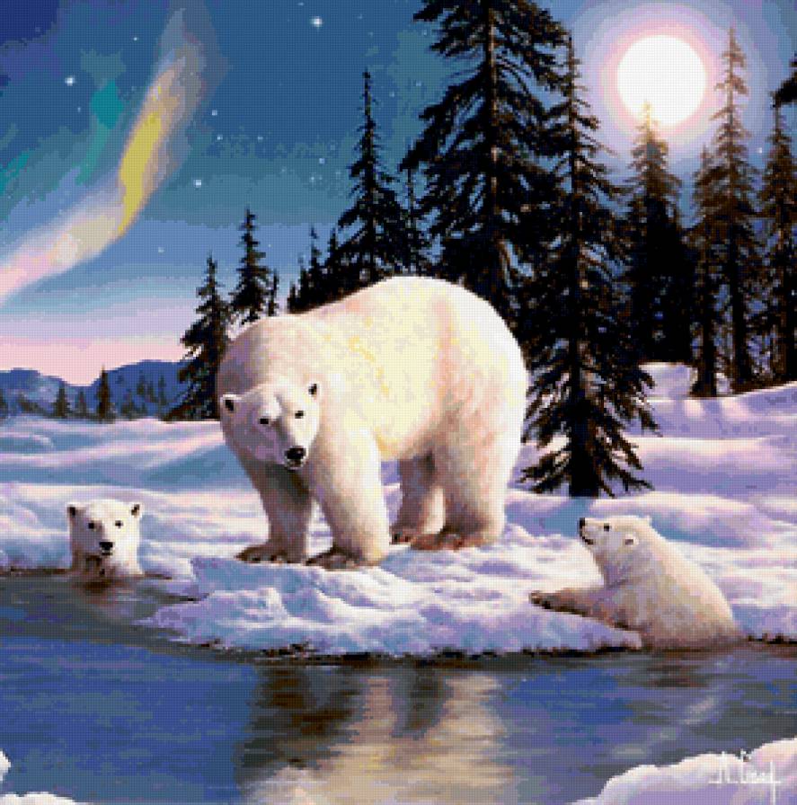 белые медведи - зима, лес, природа, река, снег - предпросмотр