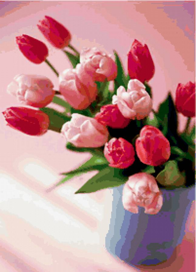 Розовые тюльпаны - тюльпаны, цветы - предпросмотр