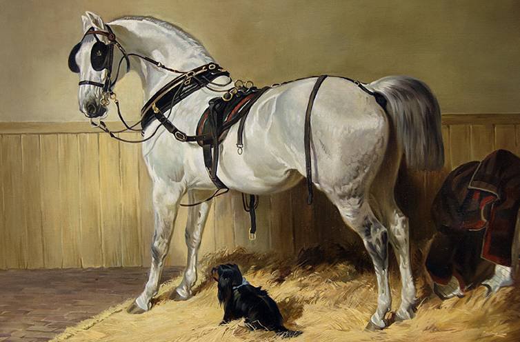 Лошадь и такса - лошадь, собака, животные - оригинал