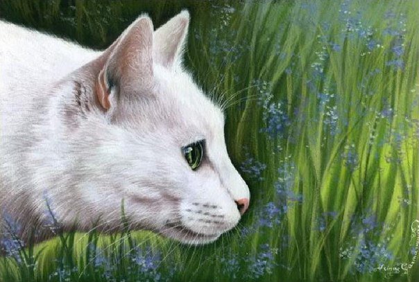 Белая кошечка - кошка - оригинал
