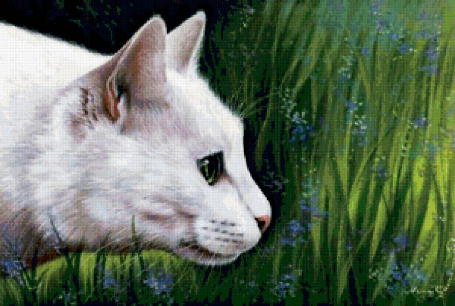 Белая кошечка - кошка - предпросмотр
