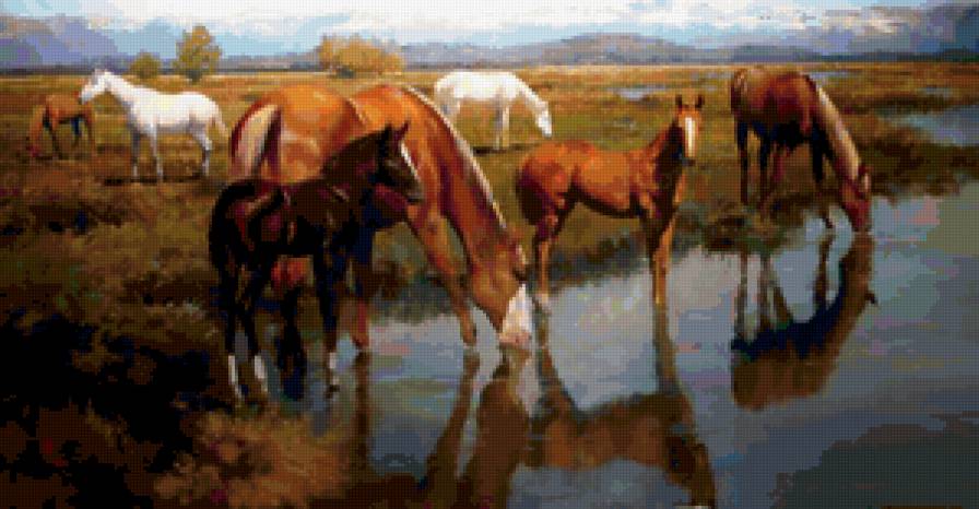 Лошади у реки - лошади, природа, пейзаж, река, степь - предпросмотр