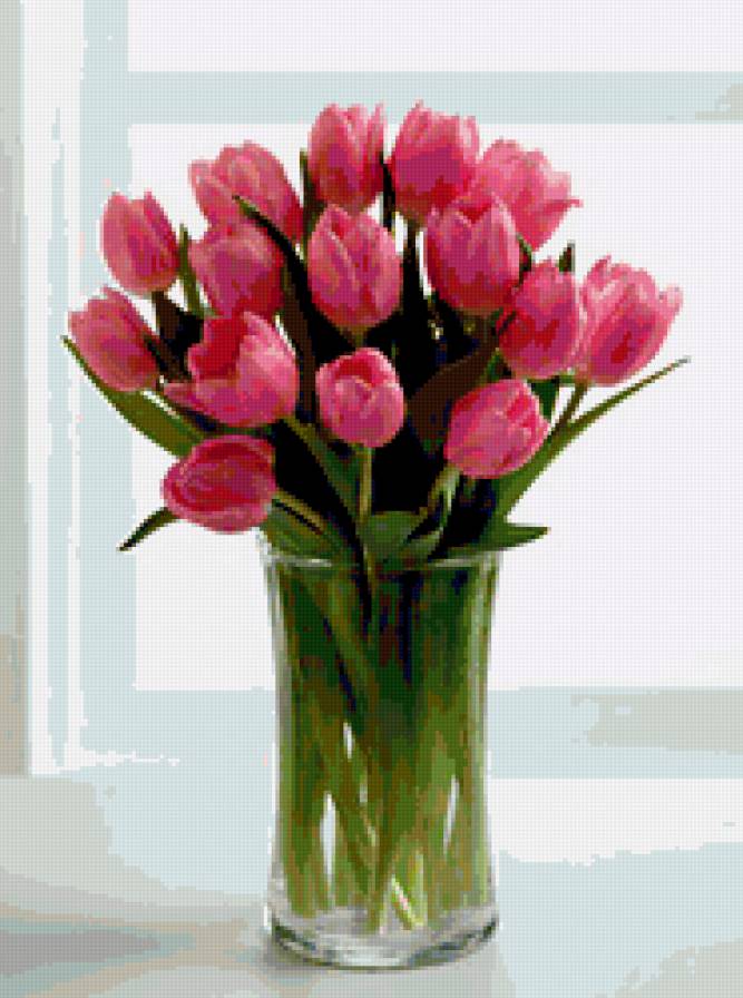 Розовые тюльпаны - цветы, тюльпаны - предпросмотр