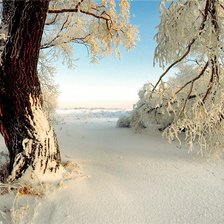 Схема вышивки «зима»