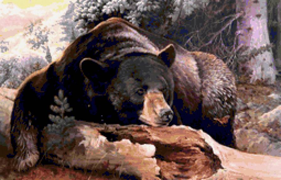 медведь23 - предпросмотр