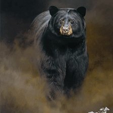 Схема вышивки «медведь24»