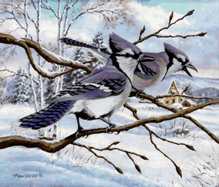 зимний пейзаж - птицы, зима - предпросмотр