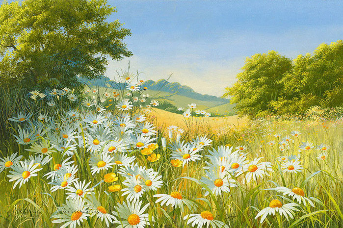 Серия "Полевые цветы" - лето, поле, пейзаж, цветы, ромашки - оригинал