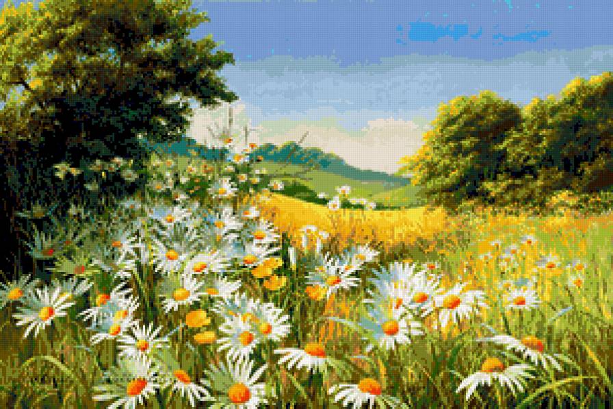 Серия "Полевые цветы" - пейзаж, лето, поле, ромашки, цветы - предпросмотр