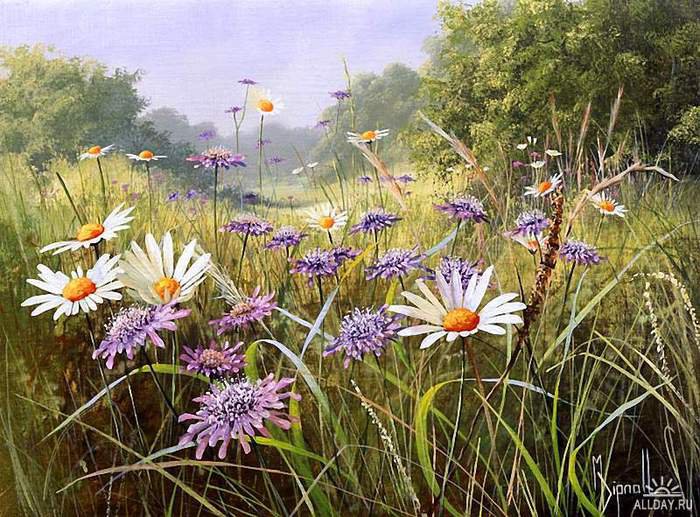 Серия "Полевые цветы" - поле, лето, пейзаж, ромашки, цветы - оригинал