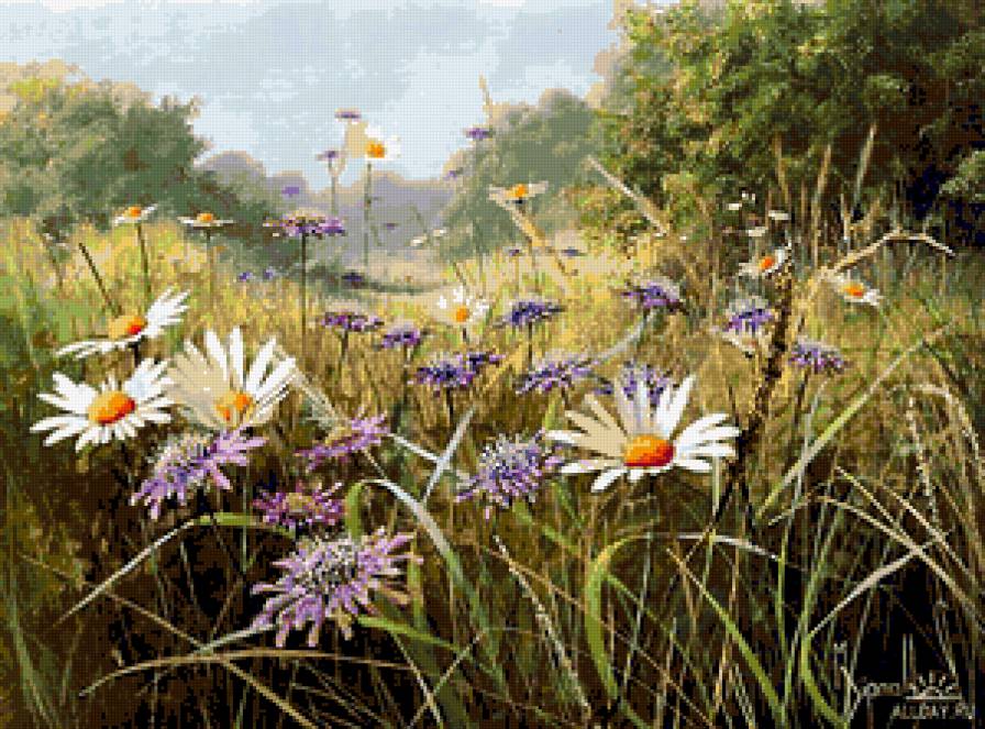 Серия "Полевые цветы" - пейзаж, ромашки, лето, поле, цветы - предпросмотр