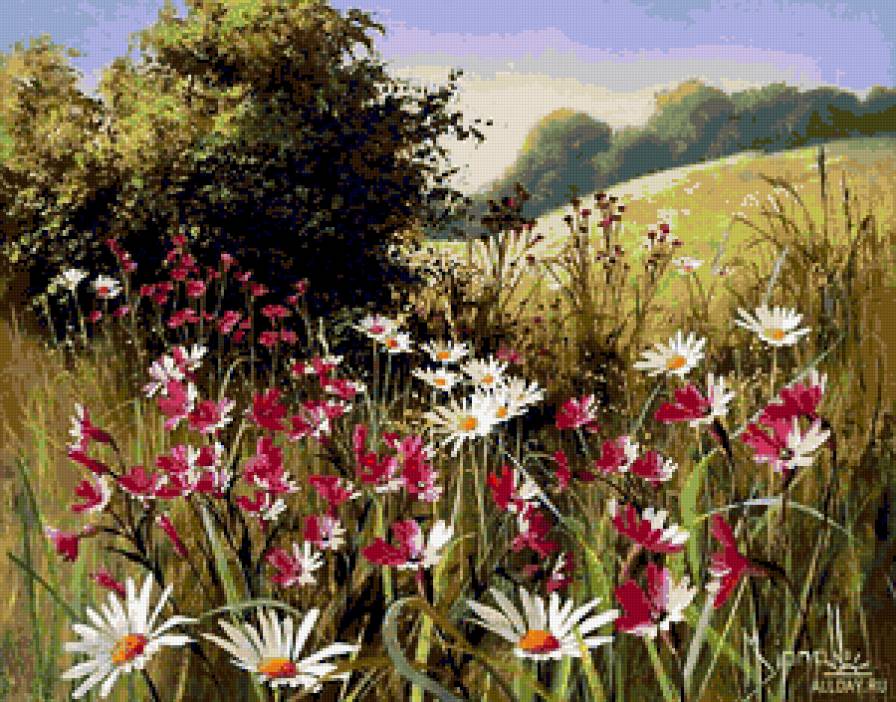 Серия "Полевые цветы" - цветы, ромашки, поле, лето, пейзаж - предпросмотр