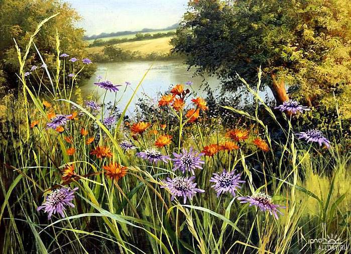 Серия "Полевые цветы" - цветы, пейзаж, одуванчики, река, поле, лето - оригинал