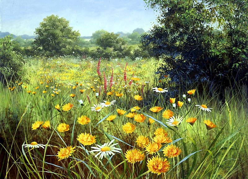 Серия "Полевые цветы" - поле, пейзаж, цветы, лето, одуванчики - оригинал