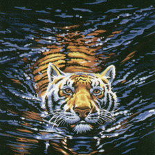 Схема вышивки «плывущий тигр»