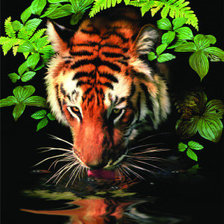 Оригинал схемы вышивки «тигр у ручья» (№398521)