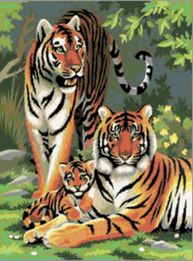 семейство полосатых - тигры - предпросмотр