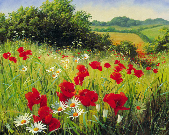 Серия "Полевые цветы" - маки, цветы, поле, пейзаж, ромашки, лето - оригинал