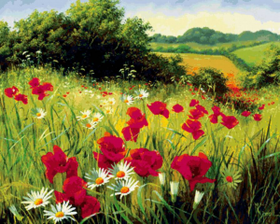 Серия "Полевые цветы" - пейзаж, лето, поле, ромашки, маки, цветы - предпросмотр
