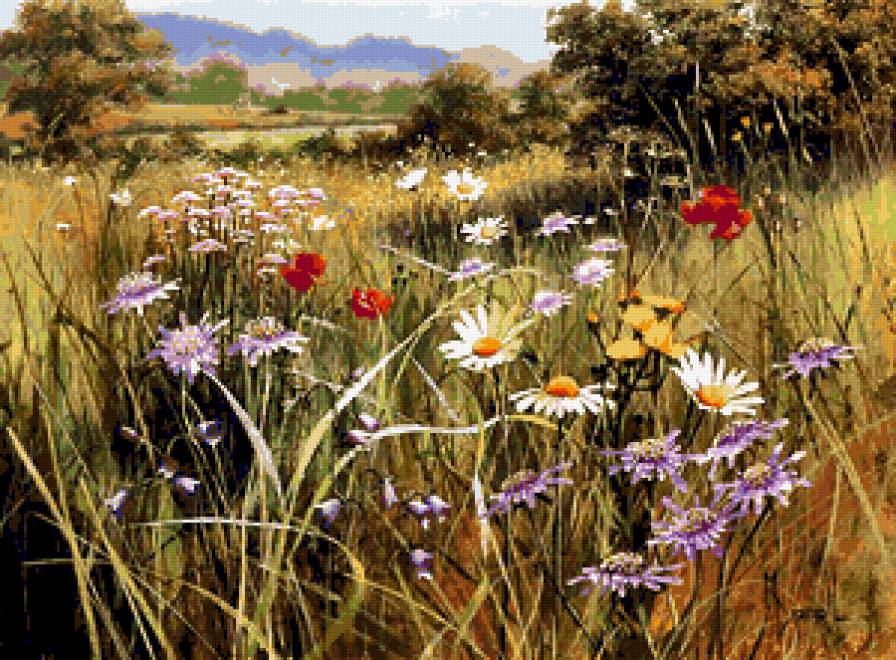 Серия "Полевые цветы" - цветы, ромашки, пейзаж, поле, лето - предпросмотр