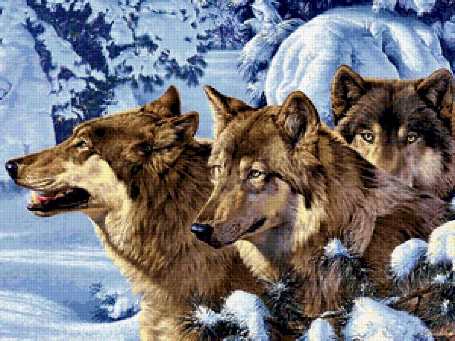 №398845 - охота, медведи, утки, волки, олени, птицы, дикая природа, орлы - предпросмотр
