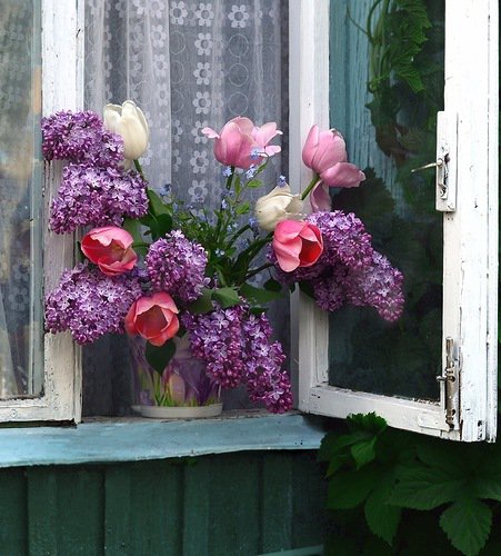букет - букет, цветы, окно, сирень, тюльпаны - оригинал