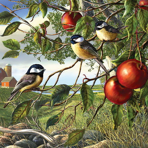 птицы на яблоне - оригинал