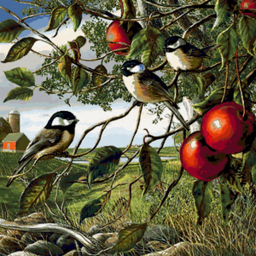птицы на яблоне - предпросмотр