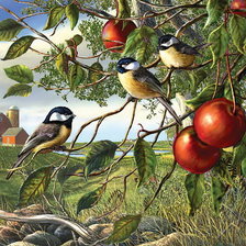 Оригинал схемы вышивки «птицы на яблоне» (№399012)