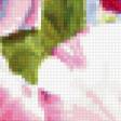 Предпросмотр схемы вышивки «Натюрморт, цветы» (№399163)