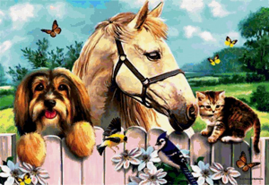 утренняя прогулка - птички, лето, котенок, природа, лошадь, щенок - предпросмотр