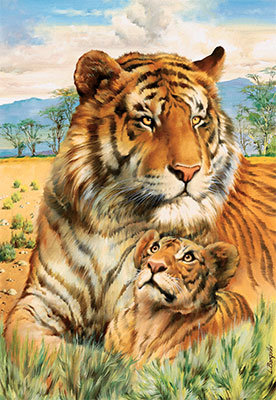 тигры на отдыхе - животные, лето, природа - оригинал