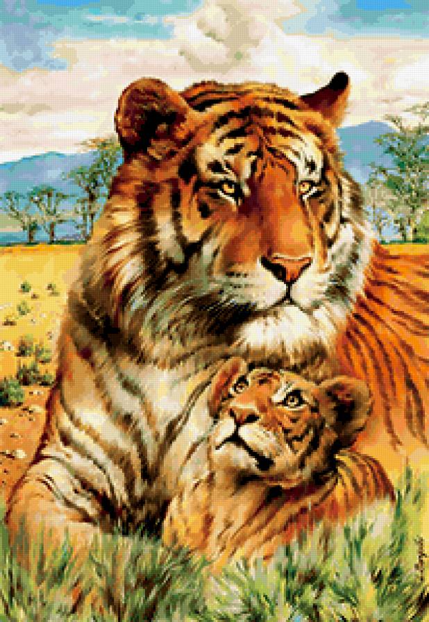 тигры на отдыхе - животные, природа, лето - предпросмотр