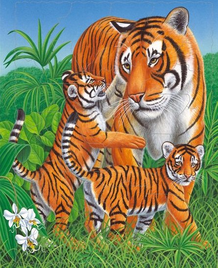 дикая природа - тигры - оригинал