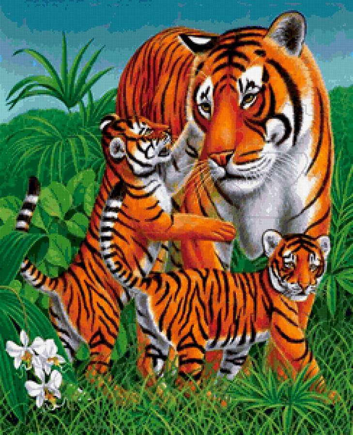 дикая природа - тигры - предпросмотр