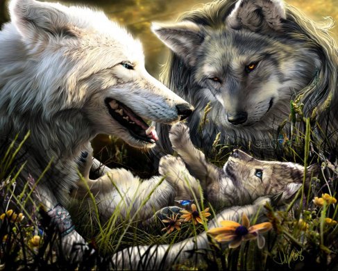 волчья семья - стая, семья, хищник, волк, любовь - оригинал
