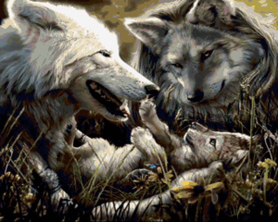 волчья семья - любовь, волк, стая, семья, хищник - предпросмотр