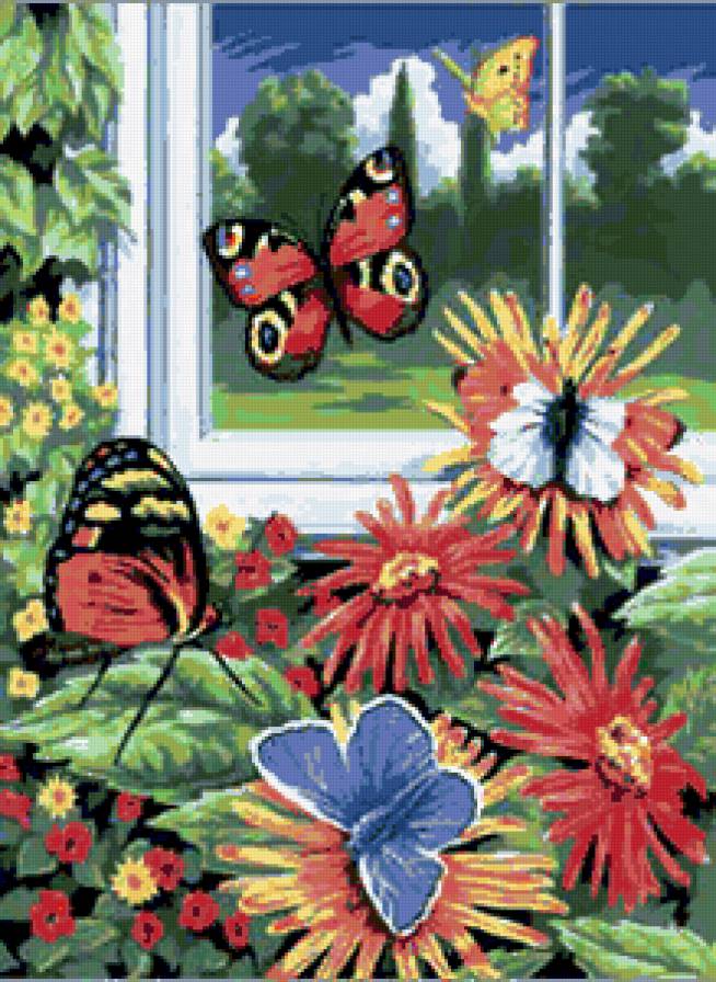 бабочки на цветах - бабочки, цветы, окно - предпросмотр
