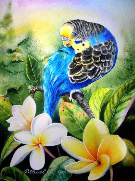 Яркий попугайчик - птицы, попугаи, цветы - оригинал