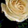 Предпросмотр схемы вышивки «роза» (№400035)