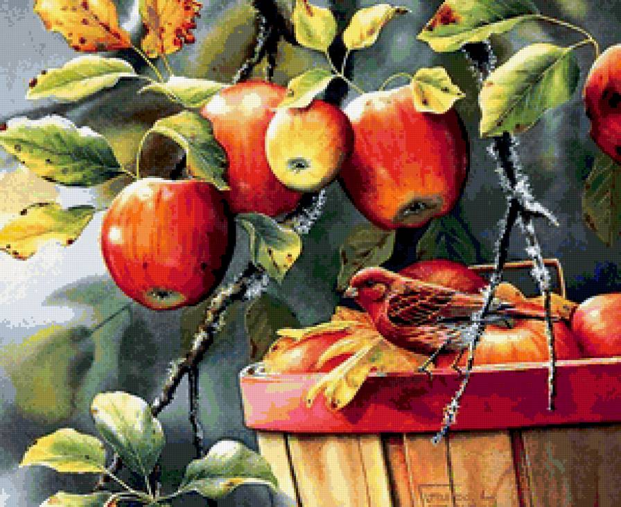 Румяные яблоки - яблоки, природа, птица - предпросмотр