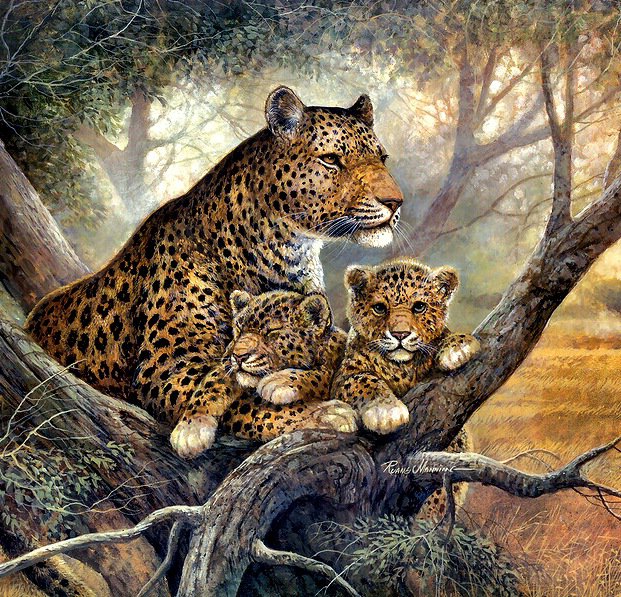 Семья на отдыхе - леопарды, животные - оригинал
