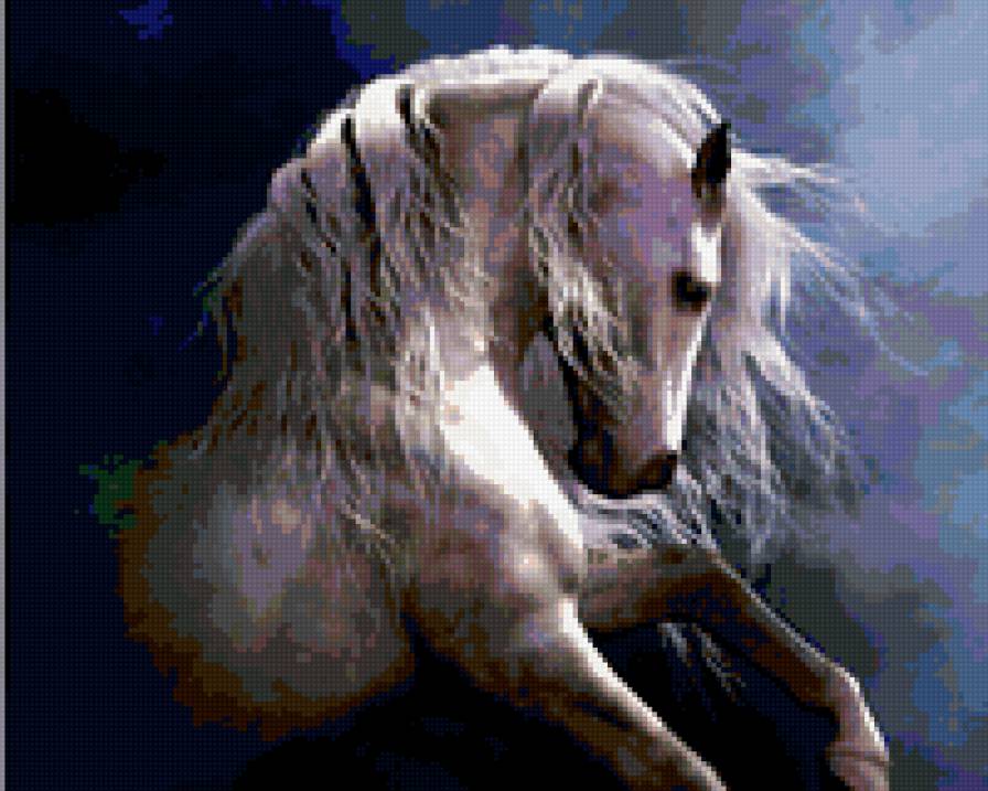 Белая лошадь - белая, ночь, лошадь - предпросмотр