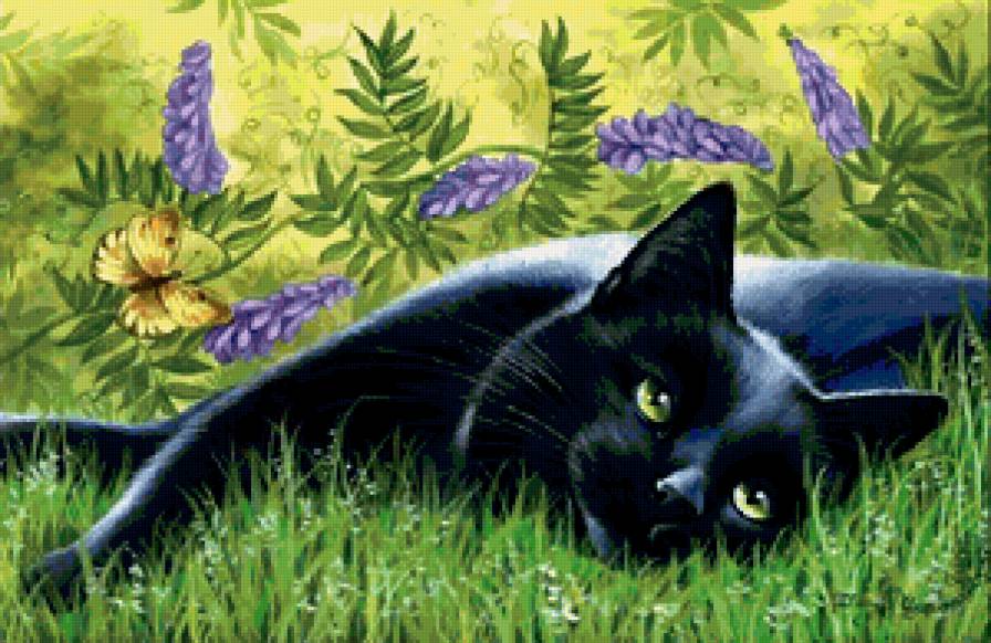 Черная пантера - кошка, кот - предпросмотр