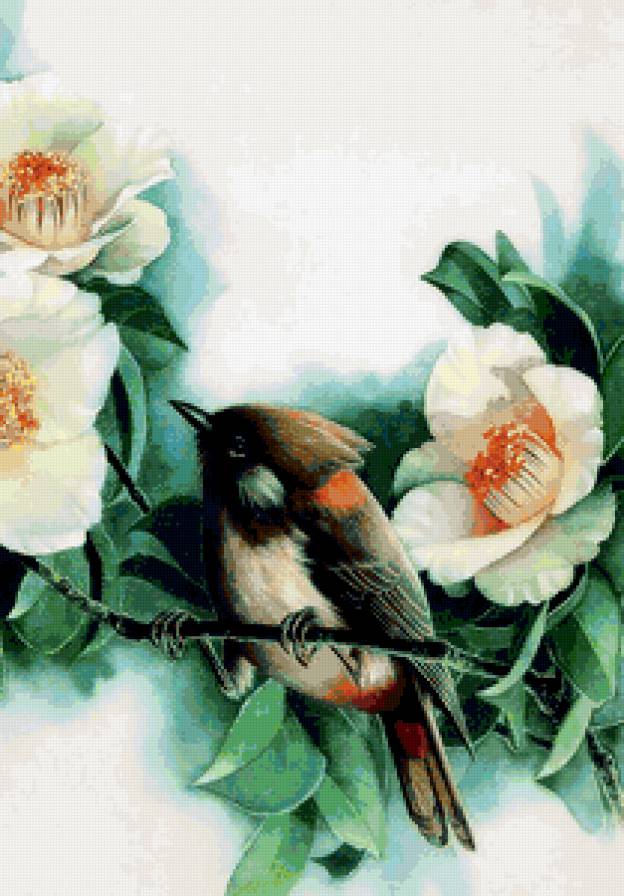 Птица и цветок - рисунки, цветок, птица, природа - предпросмотр