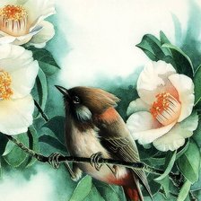 Птица и цветок