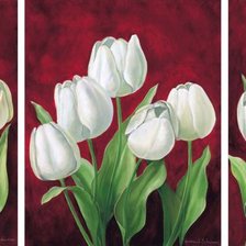 Оригинал схемы вышивки «белые тюльпаны» (№401570)