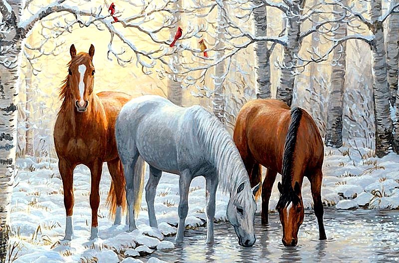 На зимнем водопое - зима, водопой, пейзаж, кони, лошади, животные - оригинал