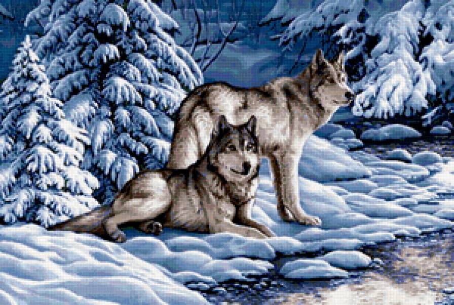 волки на снегу - снег, зима, волки, лес - предпросмотр