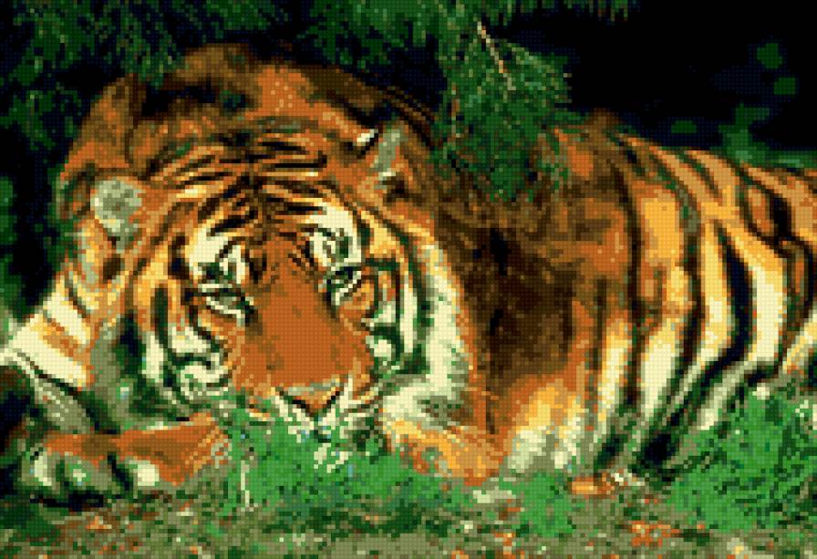 тигр - звери, хищник, тигр, животные, кошка - предпросмотр